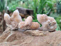 Natural Spirit Quartz Crystals x 72 From Boekenhouthoek, South Africa