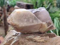 Natural Smokey Quartz Crystals x 4 From Erongo, Namibia