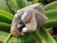 Natural Smokey Quartz Crystals x 4 From Erongo, Namibia