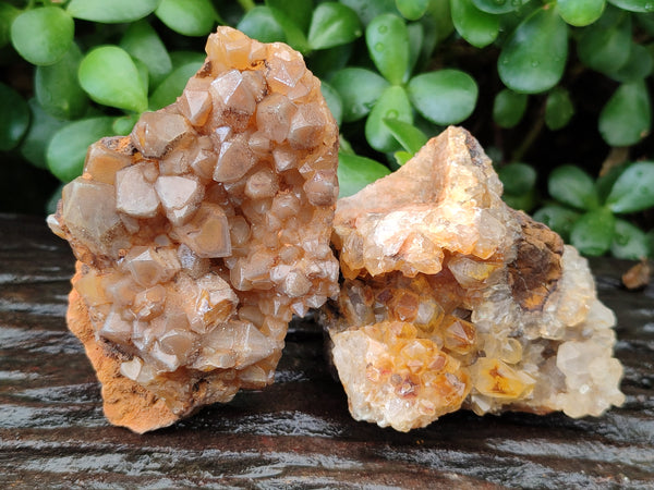 Natural Limonite Quartz Clusters x 12 From Solwezi, Zambia