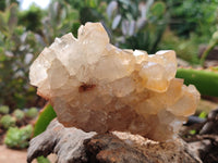 Natural Limonite Quartz Clusters x 12 From Solwezi, Zambia