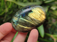 Polished Labradorite Palm Stones x 12 From Tulear, Madagascar