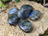 Polished Labradorite Palm Stones x 12 From Tulear, Madagascar