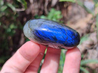 Polished Labradorite Palm Stones x 12 From Tulear, Madagascar