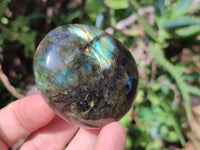 Polished Labradorite Palm Stones x 12 From Tulear, Madagascar