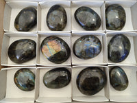 Polished Labradorite Palm Stones x 12 From Tulear, Madagascar