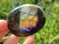 Polished Labradorite Palm Stones x 12 From Tulear, Madagascar