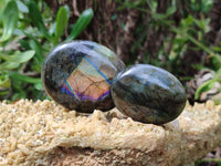 Polished Labradorite Palm Stones x 12 From Tulear, Madagascar