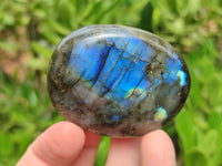 Polished Labradorite Palm Stones x 12 From Tulear, Madagascar