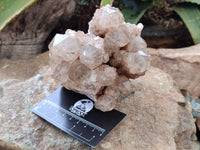 Natural Smokey Phantom Quartz Clusters x 2 From Luena, Congo