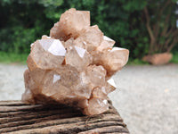 Natural Smokey Phantom Quartz Clusters x 2 From Luena, Congo