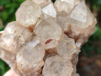 Natural Smokey Phantom Quartz Clusters x 2 From Luena, Congo