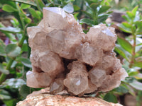 Natural Smokey Phantom Quartz Clusters x 2 From Luena, Congo