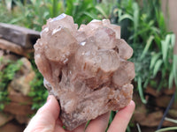 Natural Smokey Phantom Quartz Clusters x 2 From Luena, Congo