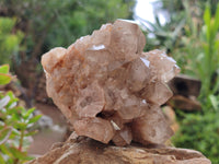 Natural Smokey Phantom Quartz Clusters x 2 From Luena, Congo