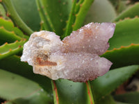 Natural Amethyst Spirit Quartz Clusters x 12 From Boekenhouthoek, South Africa