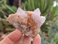 Natural Amethyst Spirit Quartz Clusters x 12 From Boekenhouthoek, South Africa