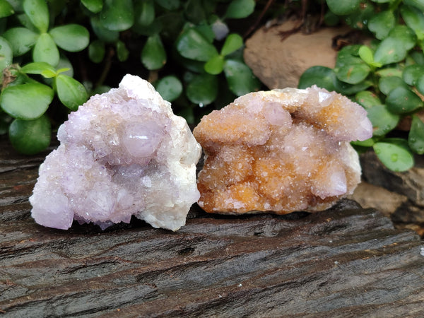 Natural Amethyst Spirit Quartz Clusters x 12 From Boekenhouthoek, South Africa