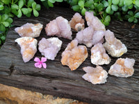 Natural Amethyst Spirit Quartz Clusters x 12 From Boekenhouthoek, South Africa