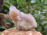 Natural Amethyst Spirit Quartz Clusters x 12 From Boekenhouthoek, South Africa