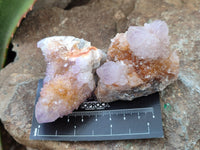 Natural Amethyst Spirit Quartz Clusters x 12 From Boekenhouthoek, South Africa