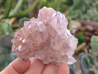 Natural Amethyst Spirit Quartz Clusters x 12 From Boekenhouthoek, South Africa