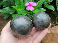 Polished Pharaoh Stone Spheres x 3 From Zimbabwe