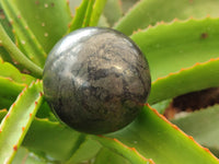 Polished Pharaoh Stone Spheres x 3 From Zimbabwe