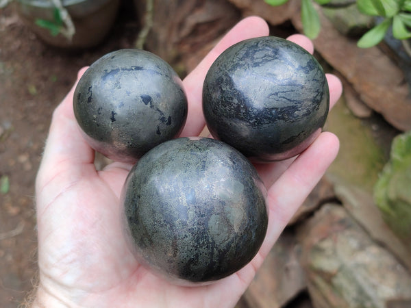 Polished Pharaoh Stone Spheres x 3 From Zimbabwe