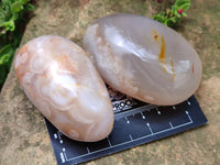 Polished Flower Agate Free Forms x 12 From Madagascar