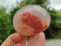 Polished Flower Agate Free Forms x 12 From Madagascar