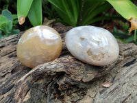 Polished Flower Agate Free Forms x 12 From Madagascar