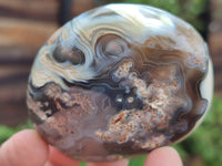 Polished Flower Agate Free Forms x 12 From Madagascar