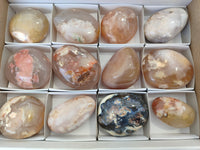 Polished Flower Agate Free Forms x 12 From Madagascar