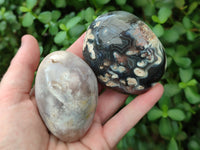 Polished Flower Agate Free Forms x 12 From Madagascar