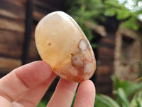 Polished Flower Agate Free Forms x 12 From Madagascar