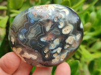 Polished Flower Agate Free Forms x 12 From Madagascar