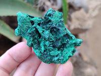 Natural Silky Malachite Specimens x 12 From Kasompe, Congo