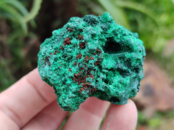 Natural Silky Malachite Specimens x 12 From Kasompe, Congo