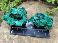 Natural Silky Malachite Specimens x 12 From Kasompe, Congo