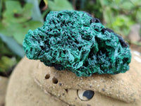 Natural Silky Malachite Specimens x 12 From Kasompe, Congo