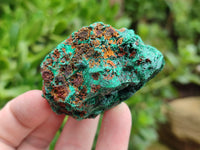 Natural Silky Malachite Specimens x 12 From Kasompe, Congo