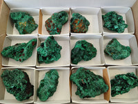 Natural Silky Malachite Specimens x 12 From Kasompe, Congo