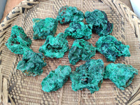 Natural Silky Malachite Specimens x 12 From Kasompe, Congo