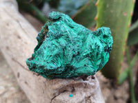 Natural Silky Malachite Specimens x 12 From Kasompe, Congo