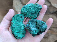 Natural Silky Malachite Specimens x 12 From Kasompe, Congo