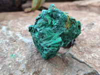 Natural Silky Malachite Specimens x 12 From Kasompe, Congo