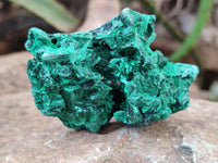 Natural Silky Malachite Specimens x 12 From Kasompe, Congo