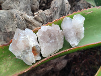 Natural Ametrine Spirit Quartz Clusters x 35 From Boekenhouthoek, South Africa