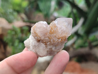 Natural Ametrine Spirit Quartz Clusters x 35 From Boekenhouthoek, South Africa